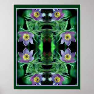 Lila Pasque Spring Blumen Abstrakt Poster
