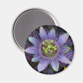 Lila Passiflora Passion Blume Magnet (Vorderseite/Rückseite)