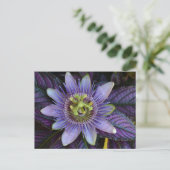 Lila Passiflora und Persischer Schild Fotografie Postkarte (Stehend Vorderseite)