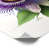 Lila Passion Blume Art Print Poster (Ecke)