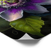 Lila Passion Blume Art Print Poster (Ecke)