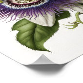 Lila Passion Blume Art Print Poster (Ecke)