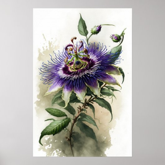 Lila Passion Blume Art Print Poster (Vorne)