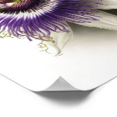 Lila Passion Blume Art Print Poster (Ecke)