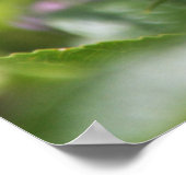 Lila Passion Blume Nature Poster (Ecke)