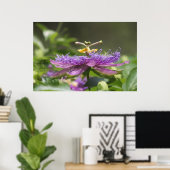 Lila Passion Blume Nature Poster (Heimbüro)