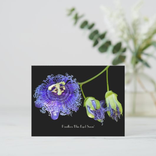 Lila Passion Blume Sammelkarte Postkarte (Stehend Vorderseite)