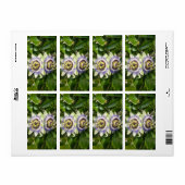 Lila-Passion Blumen-Etikett (Vorne)