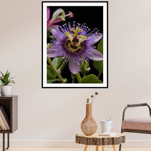 Lila Passion Fruit Blume, Poster (Wohnzimmer 3)