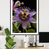 Lila Passion Fruit Blume, Poster (Heimbüro)