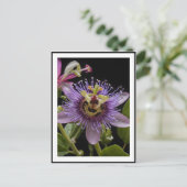 Lila Passion Fruit Blume, Postkarte (Stehend Vorderseite)
