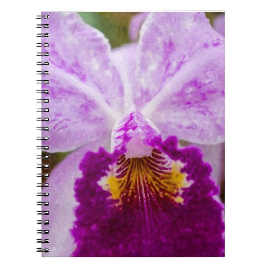 Lila Passion Orchid Notizblock (Vorderseite)