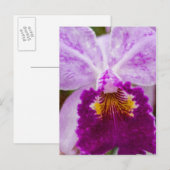 Lila Passion Orchid Postkarte (Vorne/Hinten)