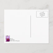 Lila Passion Orchid Postkarte (Rückseite)