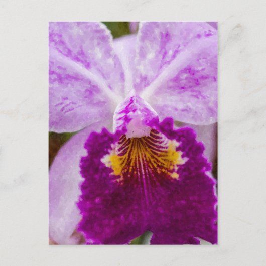 Lila Passion Orchid Postkarte (Vorderseite)