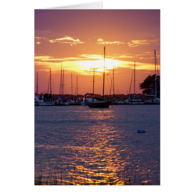 Lila Passion Sunset (Vorne)