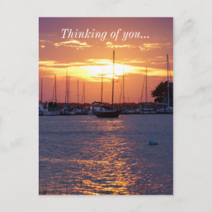 Lila Passion Sunset Postkarte