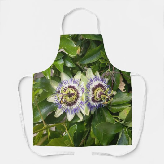 Lila Passionsblumen-Blumen-Schürze Schürze (Vorderseite)