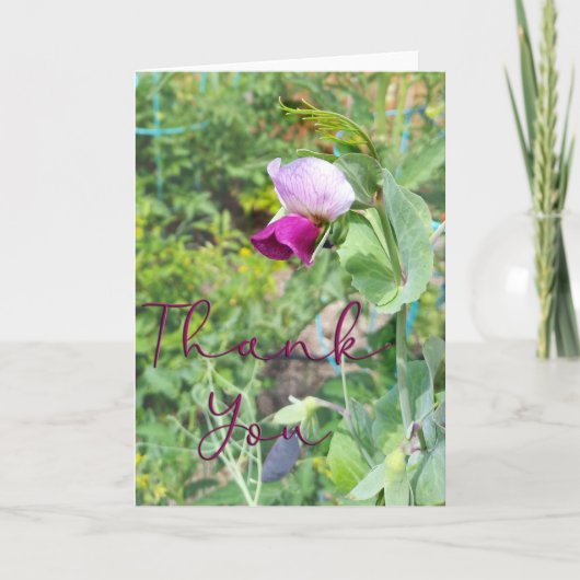 Lila Pea Blume Foto Dankeschön Karte (Vorderseite)