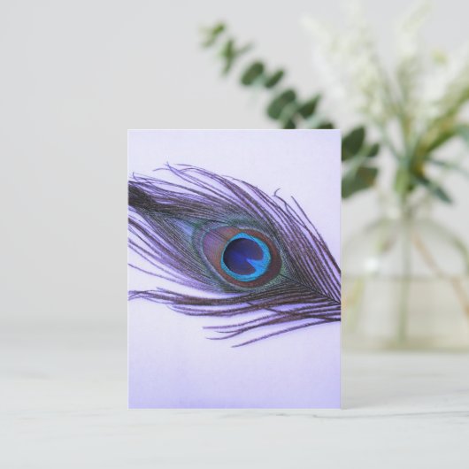 Lila Peacock Feather Postkarte (Stehend Vorderseite)
