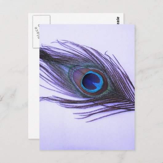 Lila Peacock Feather Postkarte (Vorne/Hinten)