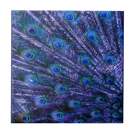 Lila Peacock Feathers Baby Blanket Fliese (Vorderseite)