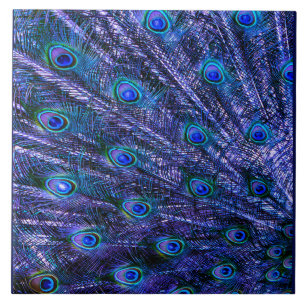 Lila Peacock Feathers Baby Blanket Fliese