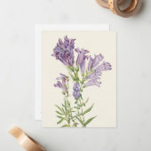 Lila Pentstemon von Mary Vaux Walcott Mitteilungskarte (Vorderseite/Rückseite Beispiel)