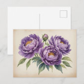 Lila Peonings auf Pergament Postkarte (Vorne/Hinten)