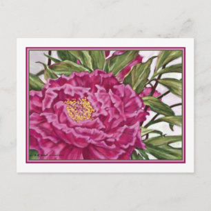 Lila Peony Blume Gartenmalerei Postkarte