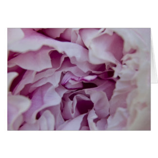 Lila Peony Card