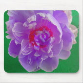 Lila Peony MousePad (Vorne)