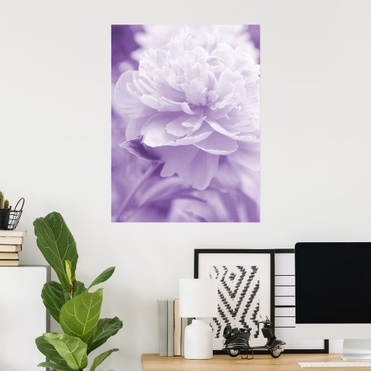 Lila Peony Poster (Heimbüro)