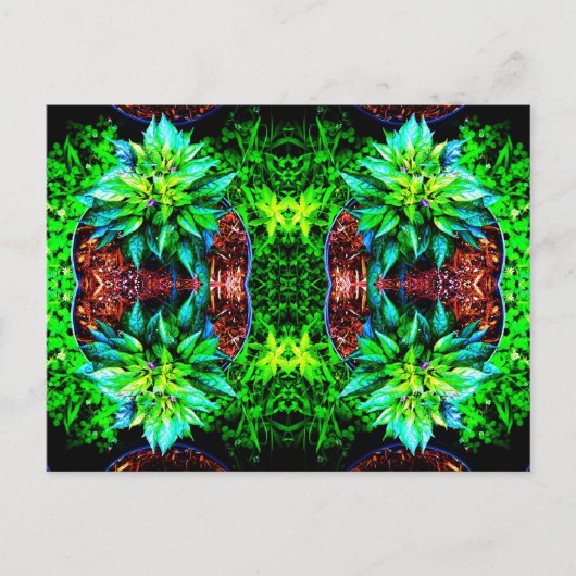 lila Pequinspiegel 4 Postkarte (Vorderseite)