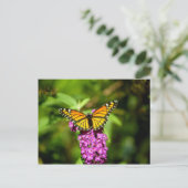 Lila Perch (Viceroy Butterfly) Postkarte (Stehend Vorderseite)
