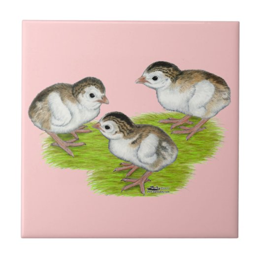 Lila Perlhühnerküken Fliese (Vorderseite)