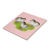Lila Perlhühnerküken Fliese (Seite)