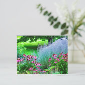 Lila Perovskia und Echinacea Postkarte (Stehend Vorderseite)