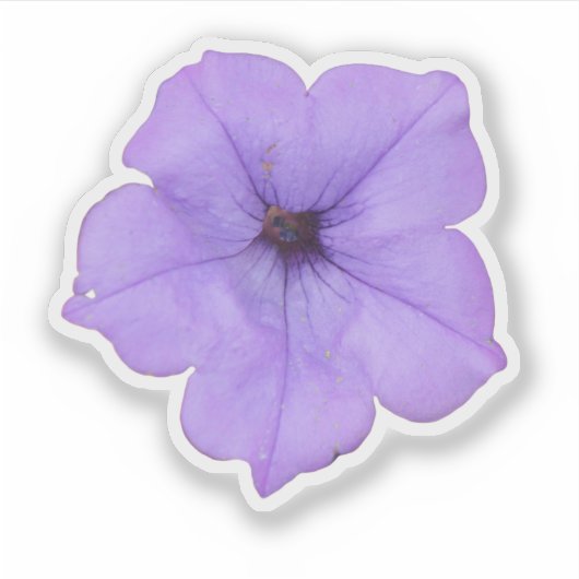 Lila Petunia Aufkleber (Vorderseite)