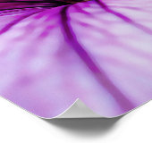 Lila Petunia Blume Fotokunst Poster (Ecke)