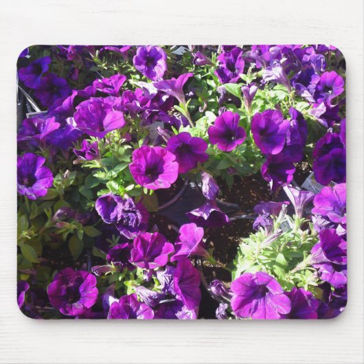 Lila Petunia Blume Mouse pad Mousepad (Vorne)