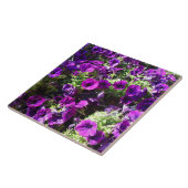 Lila Petunia Blume Tile Fliese (Seite)