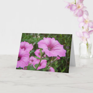 Lila Petunia-Blume und Grünfolien Karte