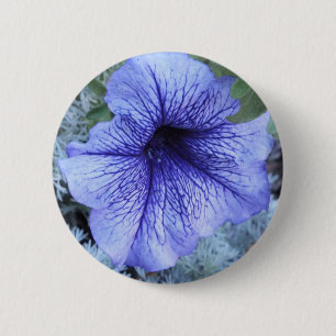 Lila Petunia Button