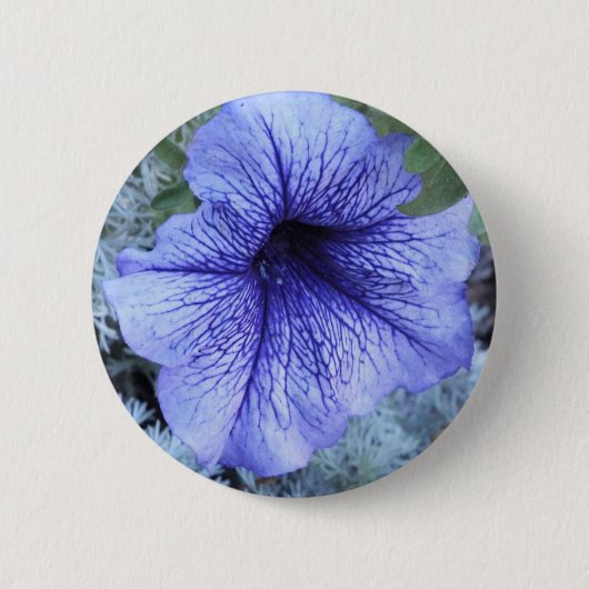 Lila Petunia Button (Vorderseite)