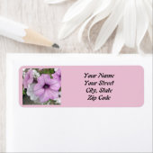 Lila Petunia Fotografie (Insitu)