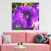 Lila Petunia in einer Regenduschkanone drucken Leinwanddruck (Insitu (Wohnzimmer))