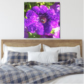 Lila Petunia in einer Regenduschkanone drucken Leinwanddruck (Insitu (Schlafzimmer))