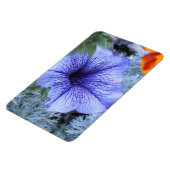 Lila Petunia Magnet (Linke Seite)