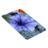Lila Petunia Magnet (Rechte Seite)